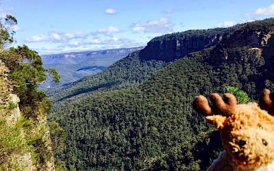 Reisemaskottchen Ole Einar mit Aussicht auf einen Wald im Hintergrund