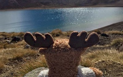 Reisemaskottchen Ole Einar genießt die Aussicht
