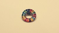 Bunter Pin von der Uni mit 17 Unterteilungen als Zeichen für globale Nachhaltigkeitsziele