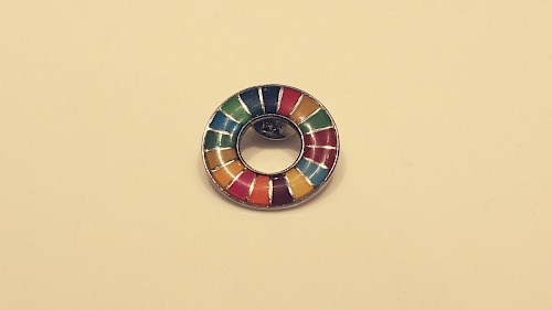UNO-Pin als Zeichen für 17 globale Nachhaltigkeitsziele Bunter Pin von der Uni mit 17 Unterteilungen als Zeichen für globale Nachhaltigkeitsziele