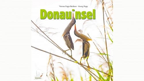 »Wiener Wildnis«-Buch: Donauinsel Cover-Entwurf eines neuen »Wiener Wildnis«-Buchs mit zwei Vögeln im Schilf