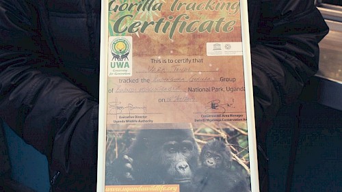 Zertifikat vom Besuch bei den Berggorillas Zertifikat vom Besuch bei den Berggorillas
