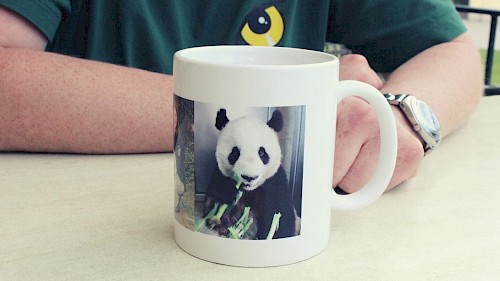 Kaffeehäferl von Tierpflegerin Renate Haider Kaffeehäferl mit Pandas im Tiergarten Schönbrunn